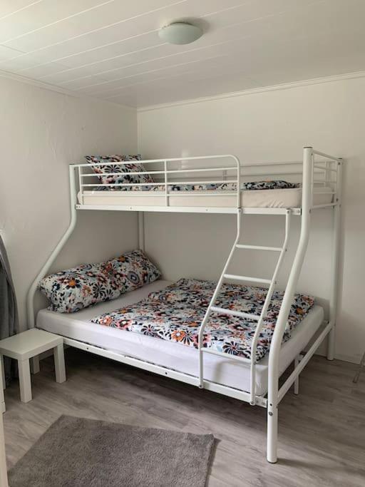 Ferienwohnung Bergblick وينتربرغ المظهر الخارجي الصورة